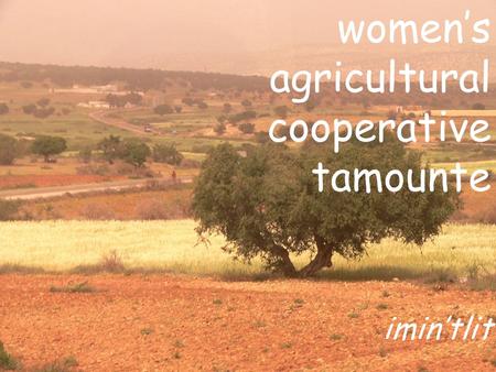 Women’s agricultural cooperative tamounte imin’tlit.