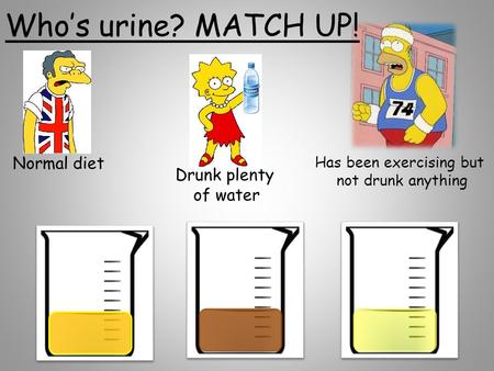 Normal diet Drunk plenty of water Has been exercising but not drunk anything Who’s urine? MATCH UP!
