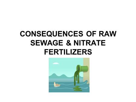 CONSEQUENCES OF RAW SEWAGE & NITRATE FERTILIZERS.