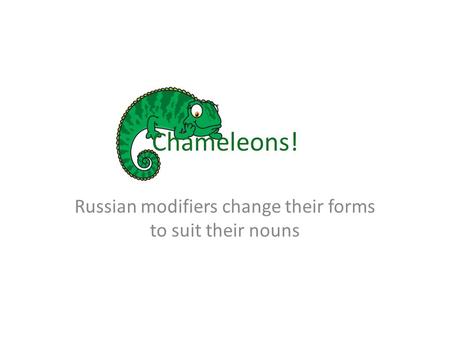 Chameleons! Russian modifiers change their forms to suit their nouns.