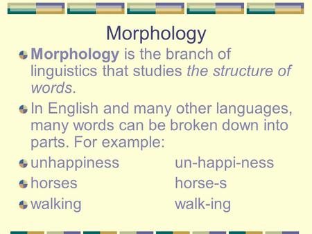 Morphology Morphology is the branch of linguistics that studies the structure of words. In English and many other languages, many words can be broken down.