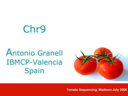 Chr9 A ntonio Granell IBMCP-Valencia Spain Tomato Sequencing, Madison July 2006.