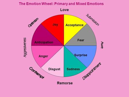 The Emotion Wheel: Primary and Mixed Emotions