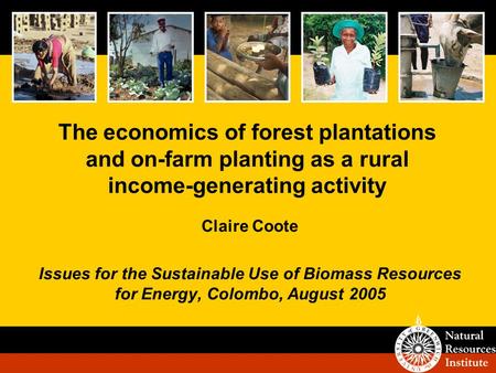 The economics of forest plantations and on-farm planting as a rural income-generating activity Claire Coote Issues for the Sustainable Use of Biomass Resources.