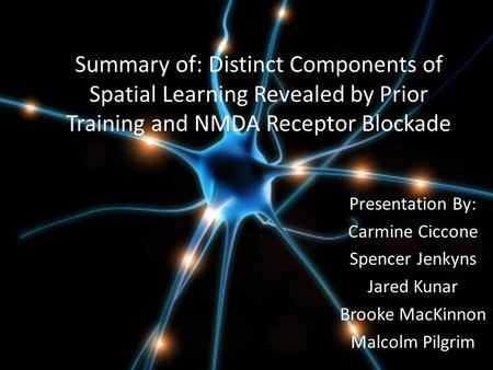 Summary of: Distinct Components of Spatial Learning Revealed by Prior Training and NMDA Receptor Blockade Presentation By: Carmine Ciccone Spencer Jenkyns.