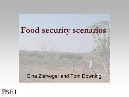 Food security scenarios Gina Ziervogel and Tom Downing.