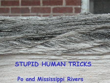 Writing Earth history with continental- margin sedimentary processes STUPID HUMAN TRICKS Po and Mississippi Rivers.