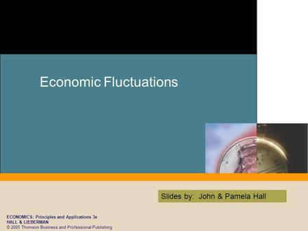 ECONOMICS: Principles and Applications 3e HALL & LIEBERMAN © 2005 Thomson Business and Professional Publishing Slides by: John & Pamela Hall Economic Fluctuations.