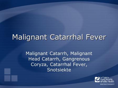 Malignant Catarrhal Fever Malignant Catarrh, Malignant Head Catarrh, Gangrenous Coryza, Catarrhal Fever, Snotsiekte.
