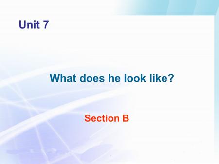 Section B Unit 7 What does he look like?. Paul Cathy Yu Jie Zhou Hai Li Jun Peter Pair work Revision.