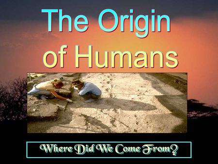 The Origin of Humans Where Did We Come From?.