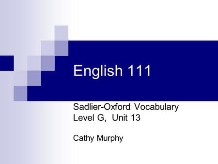 English 111 Sadlier-Oxford Vocabulary Level G, Unit 13 Cathy Murphy.