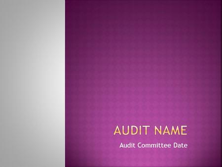 Audit Committee Date.  (Describe the risks that led us to perform this audit or identify how it appeared on the audit plan (e.g., special request).