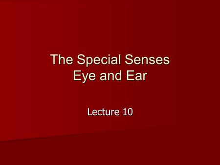 The Special Senses Eye and Ear Lecture 10. The special senses of the eyes and ears are SENSORY input devices. The eyes and ears detect sensory information.