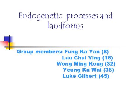 Endogenetic processes and landforms