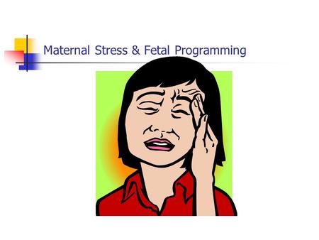 Maternal Stress & Fetal Programming. Prenatal Stress & Programming of the Brain Prenatal stress (animal model) Hippocampus Site of learning & memory formation.