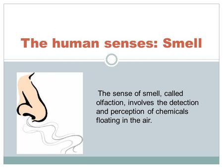 The human senses: Smell The sense of smell, called olfaction, involves the detection and perception of chemicals floating in the air.