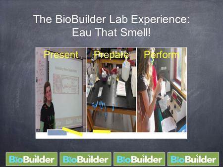 The BioBuilder Lab Experience: Eau That Smell! PresentPreparePerform.