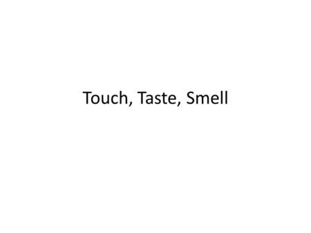 Touch, Taste, Smell.