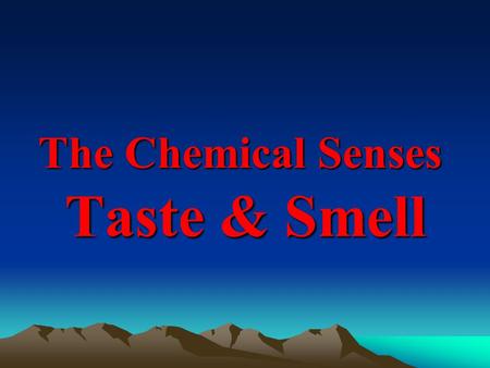 The Chemical Senses Taste & Smell. Taste Sensation Taste Sensation.