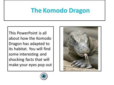 The Komodo Dragon This PowerPoint is all about how the Komodo Dragon has adapted to its habitat. You will find some interesting and shocking facts that.