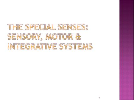 The Special Senses: Sensory, Motor & Integrative Systems