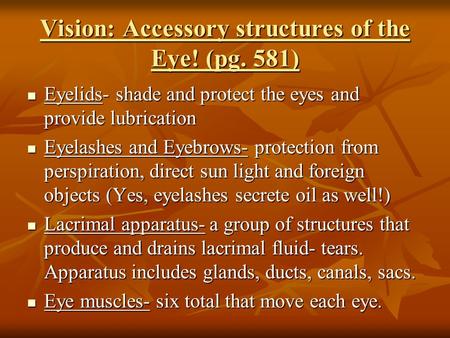 Vision: Accessory structures of the Eye! (pg. 581) Eyelids- shade and protect the eyes and provide lubrication Eyelids- shade and protect the eyes and.