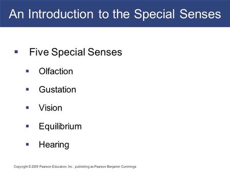 Copyright © 2009 Pearson Education, Inc., publishing as Pearson Benjamin Cummings An Introduction to the Special Senses  Five Special Senses  Olfaction.