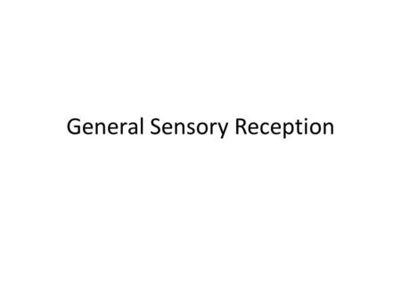 General Sensory Reception. The Sensory System What are the senses ? How sensory systems work Body sensors and homeostatic maintenance Sensing the external.