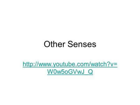 Other Senses  W0w5oGVwJ_Q.