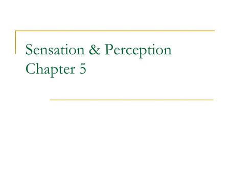 Sensation & Perception Chapter 5