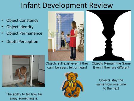 Infant Development Review Object Constancy Object Identity Object Permanence Depth Perception Objects Remain the Same Even if they are different Objects.