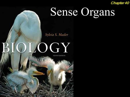 Biology, 9th ed, Sylvia Mader