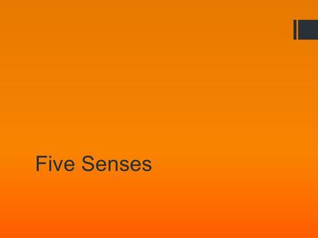 Five Senses. First Sense: Sound- CLOSE YOUR EYES, PLEASE!!