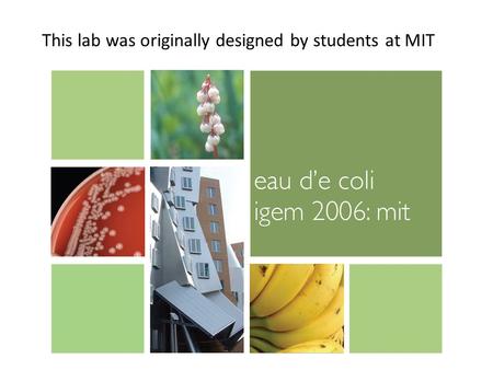 This lab was originally designed by students at MIT.