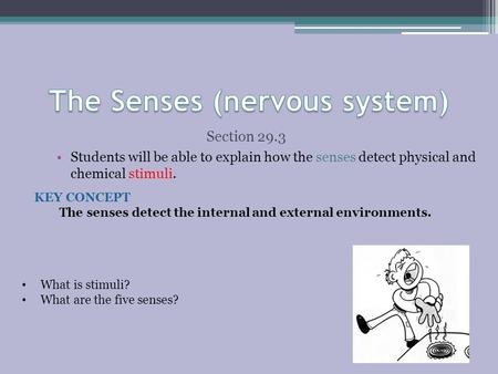 The Senses (nervous system)