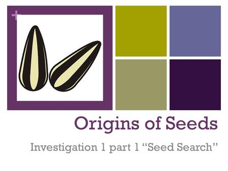 Investigation 1 part 1 “Seed Search”