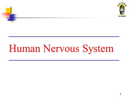 1 Human Nervous System. 2 What are we going to learn ? Function of nervous system Parts of nervous system Types of neurons Conduction of impulse through.