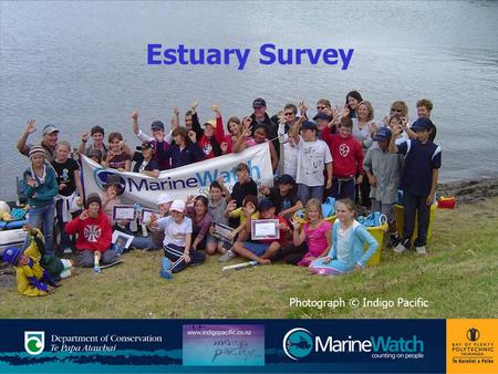 Estuary Survey Photograph © Indigo Pacific