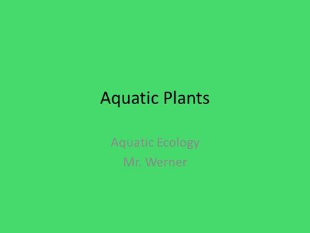 Aquatic Plants Aquatic Ecology Mr. Werner. PLANTS (MACROPHYTES) TAXONOMY and DIVERSITY Macro-algae (Chara) – Several forms Flowering Plants – 2 dozen.