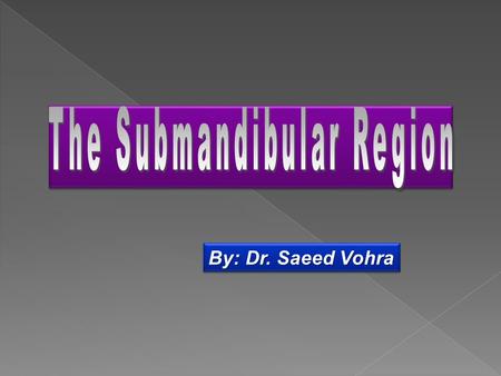 The Submandibular Region