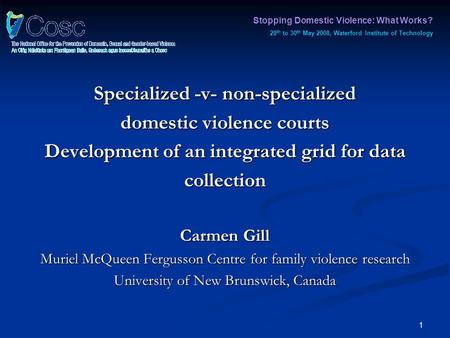 1 Specialized -v- non-specialized domestic violence courts Development of an integrated grid for data collection Carmen Gill Muriel McQueen Fergusson Centre.