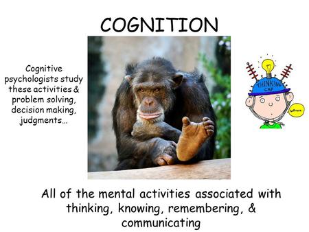 COGNITION All of the mental activities associated with thinking, knowing, remembering, & communicating Cognitive psychologists study these activities &