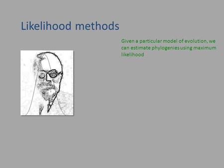 Likelihood methods Given a particular model of evolution, we can estimate phylogenies using maximum likelihood.