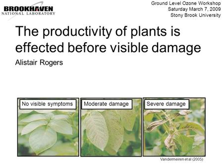 The productivity of plants is effected before visible damage Ground Level Ozone Workshop Saturday March 7, 2009 Stony Brook University No visible symptomsModerate.