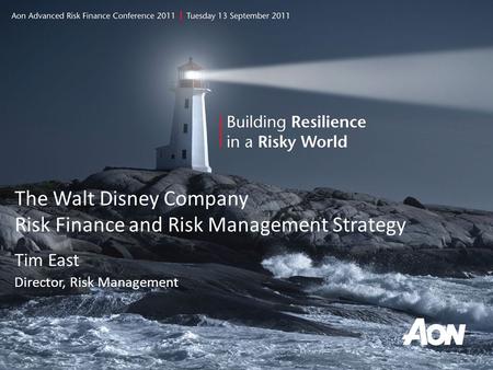 The Walt Disney Company Risk Finance and Risk Management Strategy