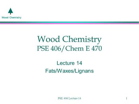 Wood Chemistry PSE 406/Chem E 470