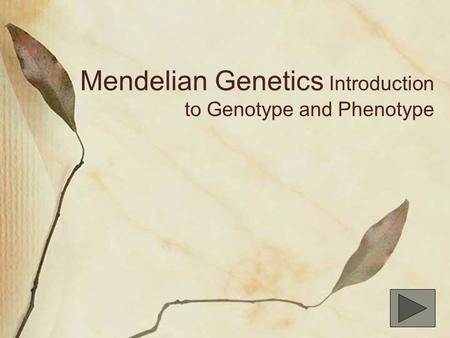 Mendelian Genetics Introduction to Genotype and Phenotype.