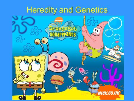 Heredity and Genetics I wonder… is square dominant over round for sponge shape???