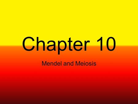 Chapter 10 Mendel and Meiosis.